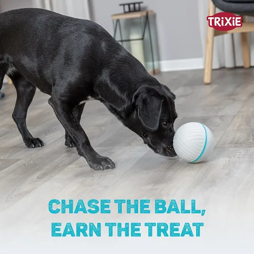 Trixie Plastic Snack Ball Toy for Dogs (Grey)