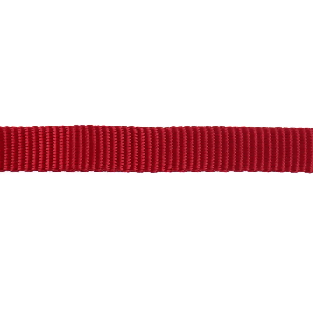 Trixie Premium Collar for Dogs (Red)