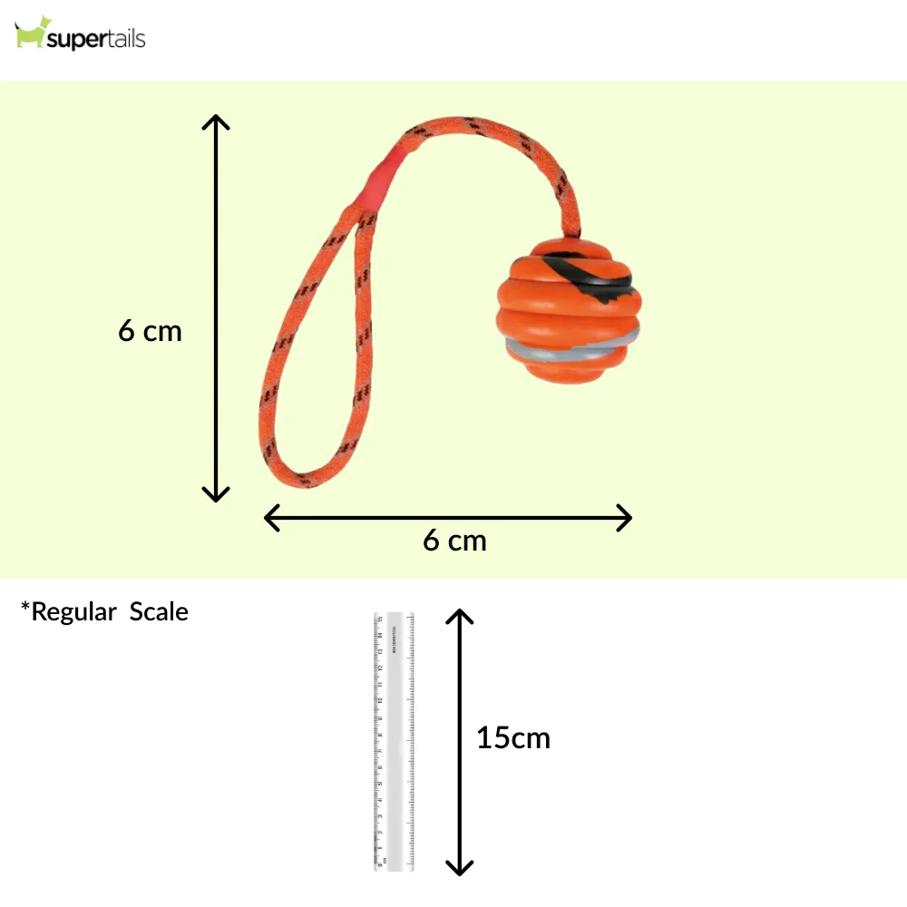 Trixie Wavy Ball on a Rope Toy for Dogs (Orange)