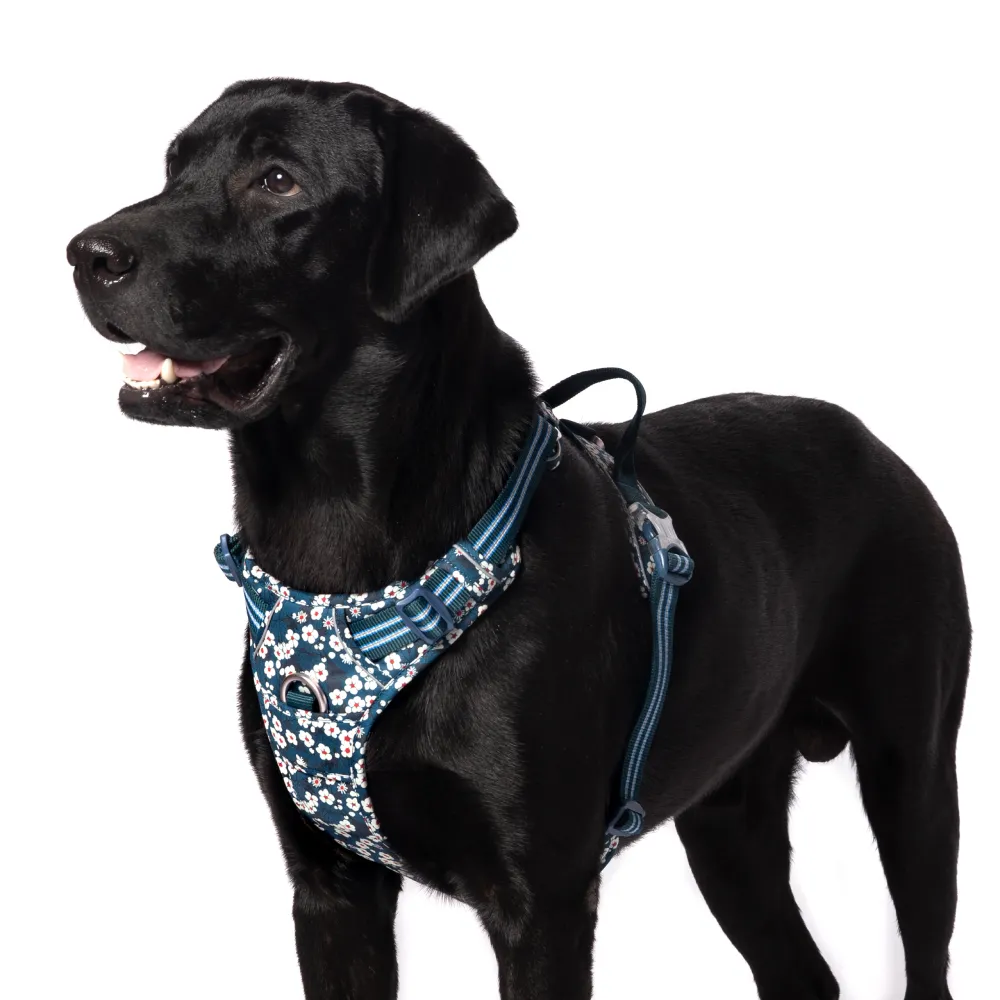 Truelove Floral No Pull 3M Reflective Harness for Dogs (Saxony Blue)
