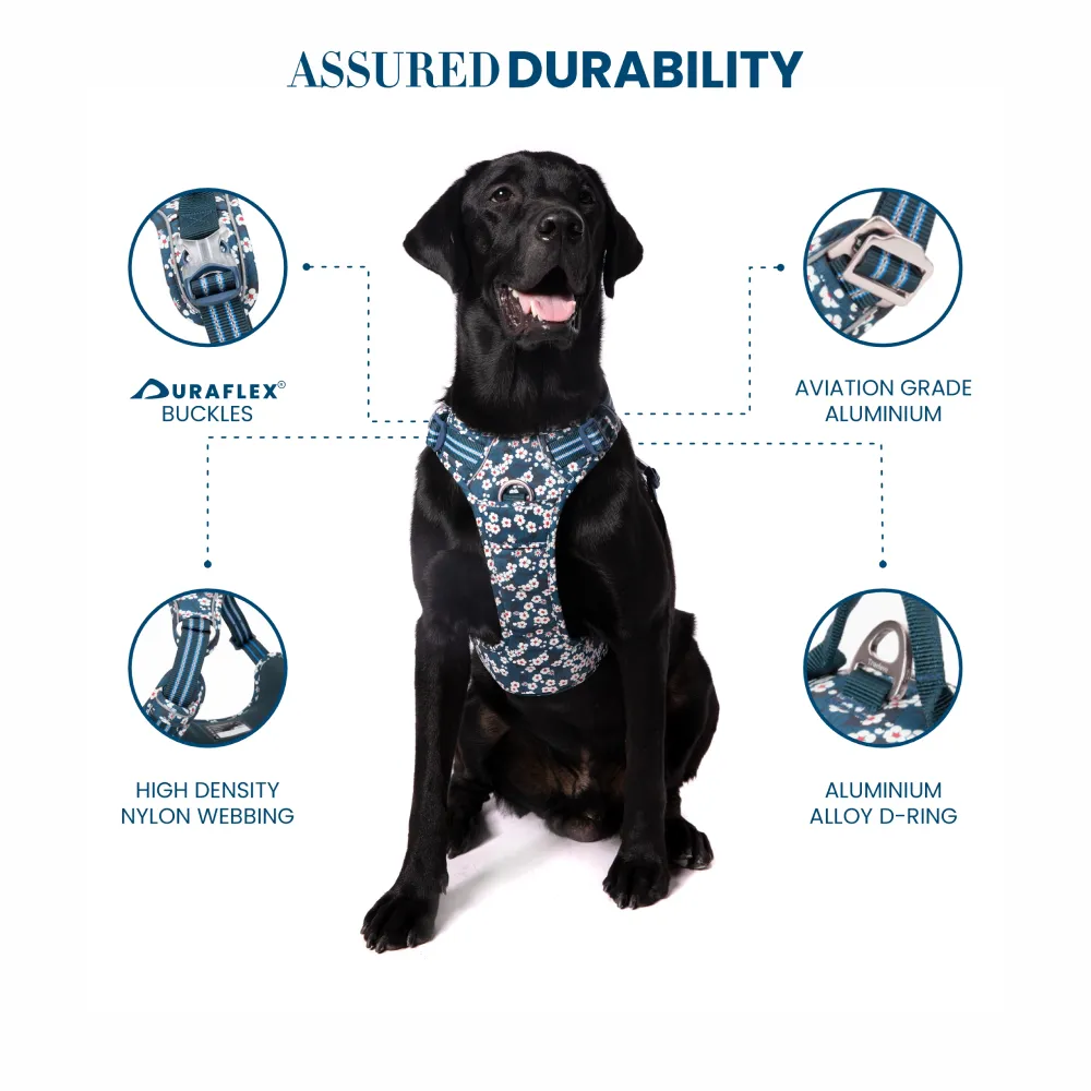 Truelove Floral No Pull 3M Reflective Harness for Dogs (Saxony Blue)