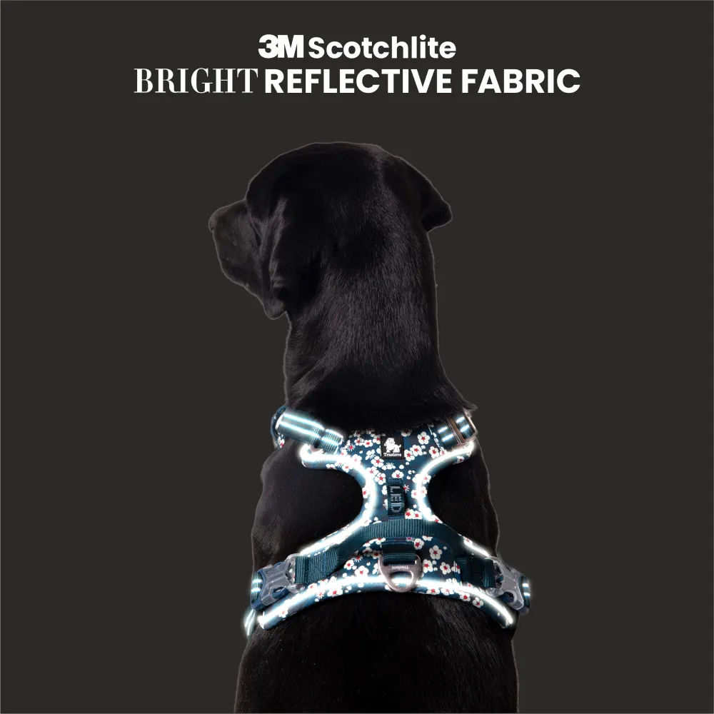 Truelove Floral No Pull 3M Reflective Harness for Dogs (Saxony Blue)