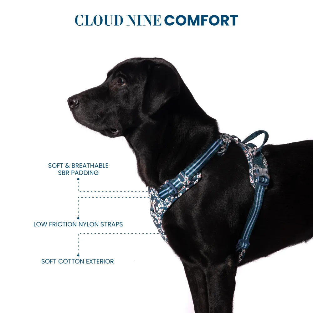 Truelove Floral No Pull 3M Reflective Harness for Dogs (Saxony Blue)