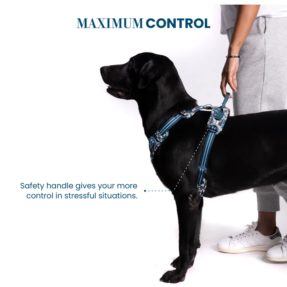 Truelove Floral No Pull 3M Reflective Harness for Dogs (Saxony Blue)