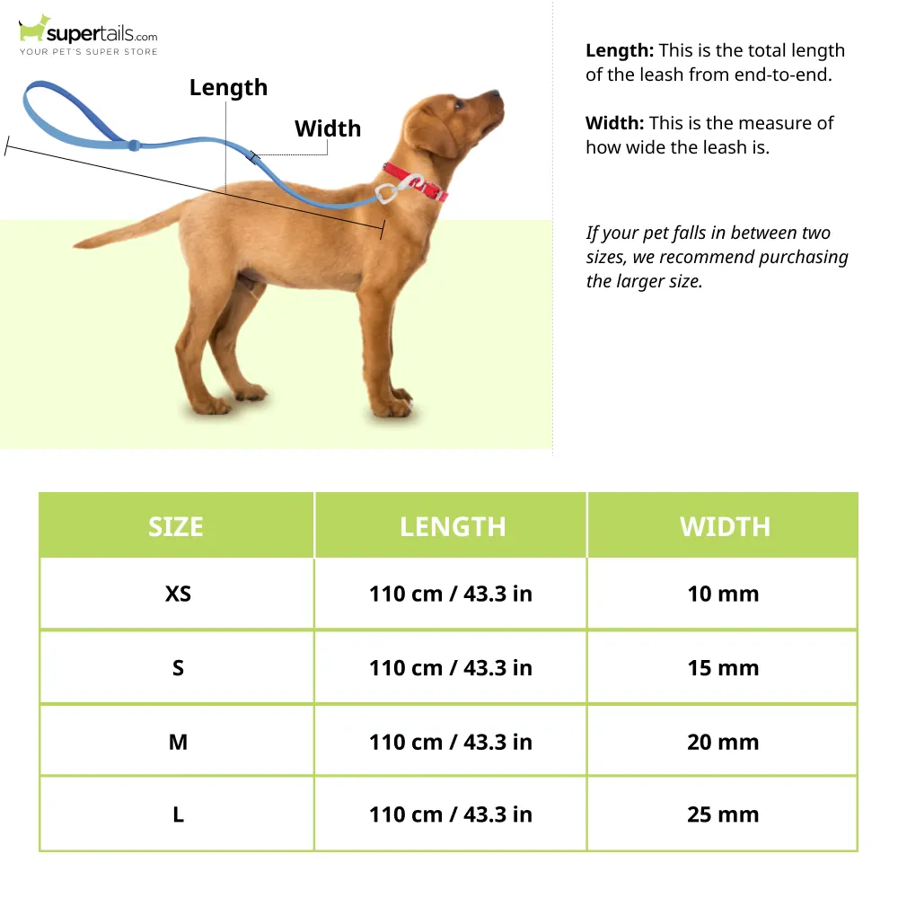 Truelove Royal Classic leash with D Rings for Dogs (Blue  110cm)