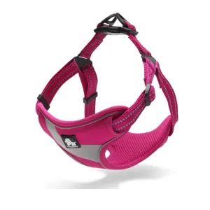 Truelove Step in with Duraflex Buckles & 3M Reflective Harness for Dogs (Fuschia)