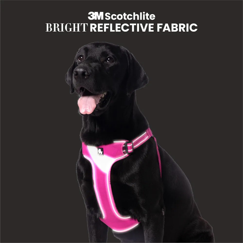 Truelove Step in with Duraflex Buckles & 3M Reflective Harness for Dogs (Fuschia)