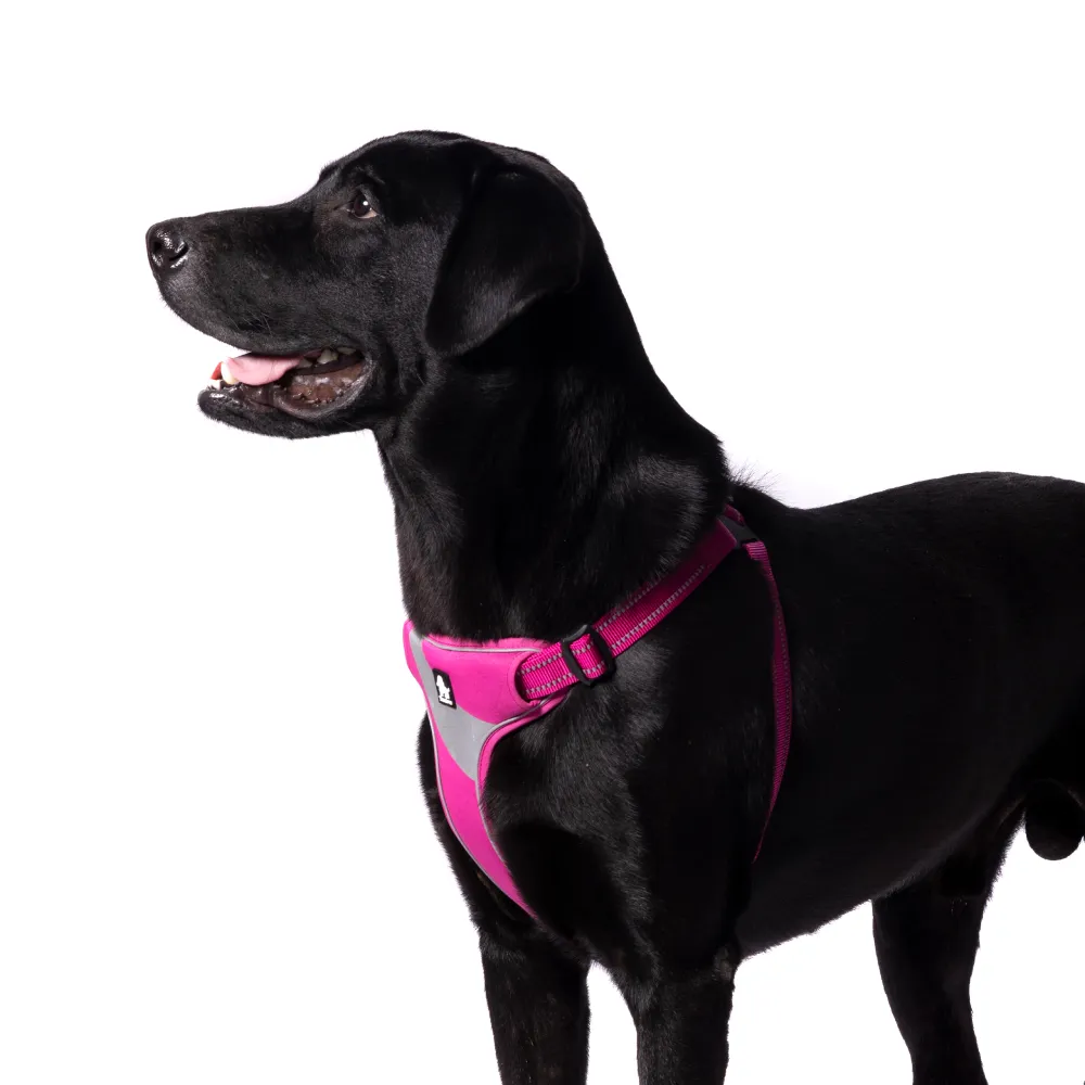 Truelove Step in with Duraflex Buckles & 3M Reflective Harness for Dogs (Fuschia)