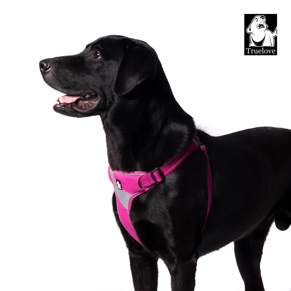 Truelove Step in with Duraflex Buckles & 3M Reflective Harness for Dogs (Fuschia)