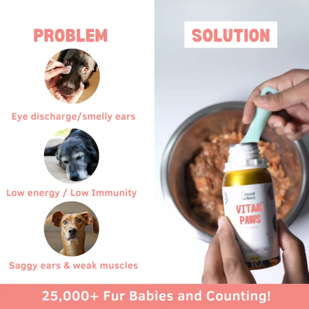 Unleash Wellness Vitam Paws Multivitamin Supplement for Dogs and Cats