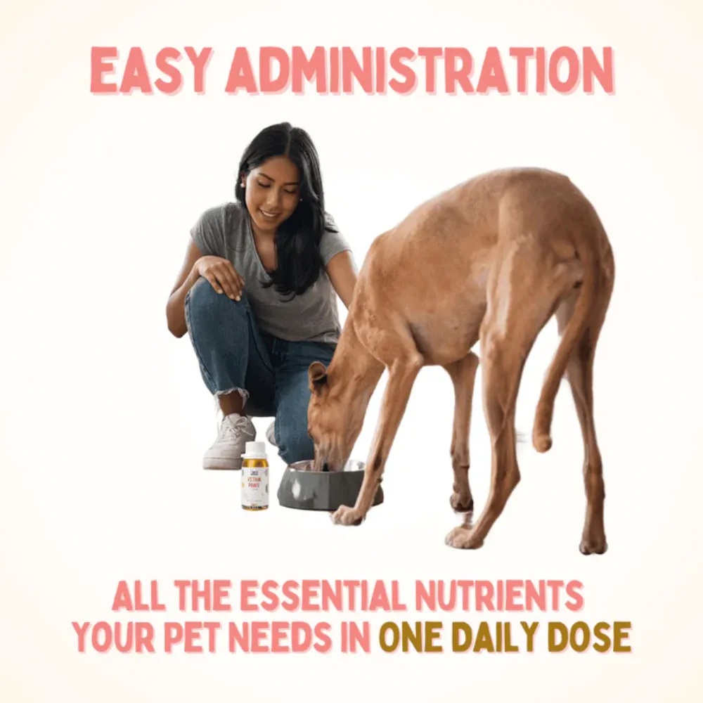 Unleash Wellness Vitam Paws Multivitamin Supplement for Dogs and Cats