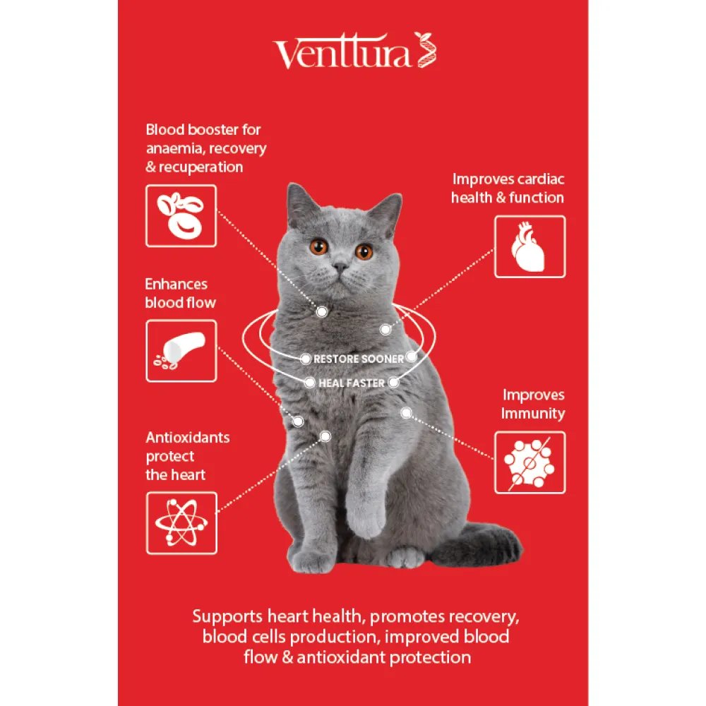 Venttura Ferro Blood Booster & Immunity Supplement for Cats