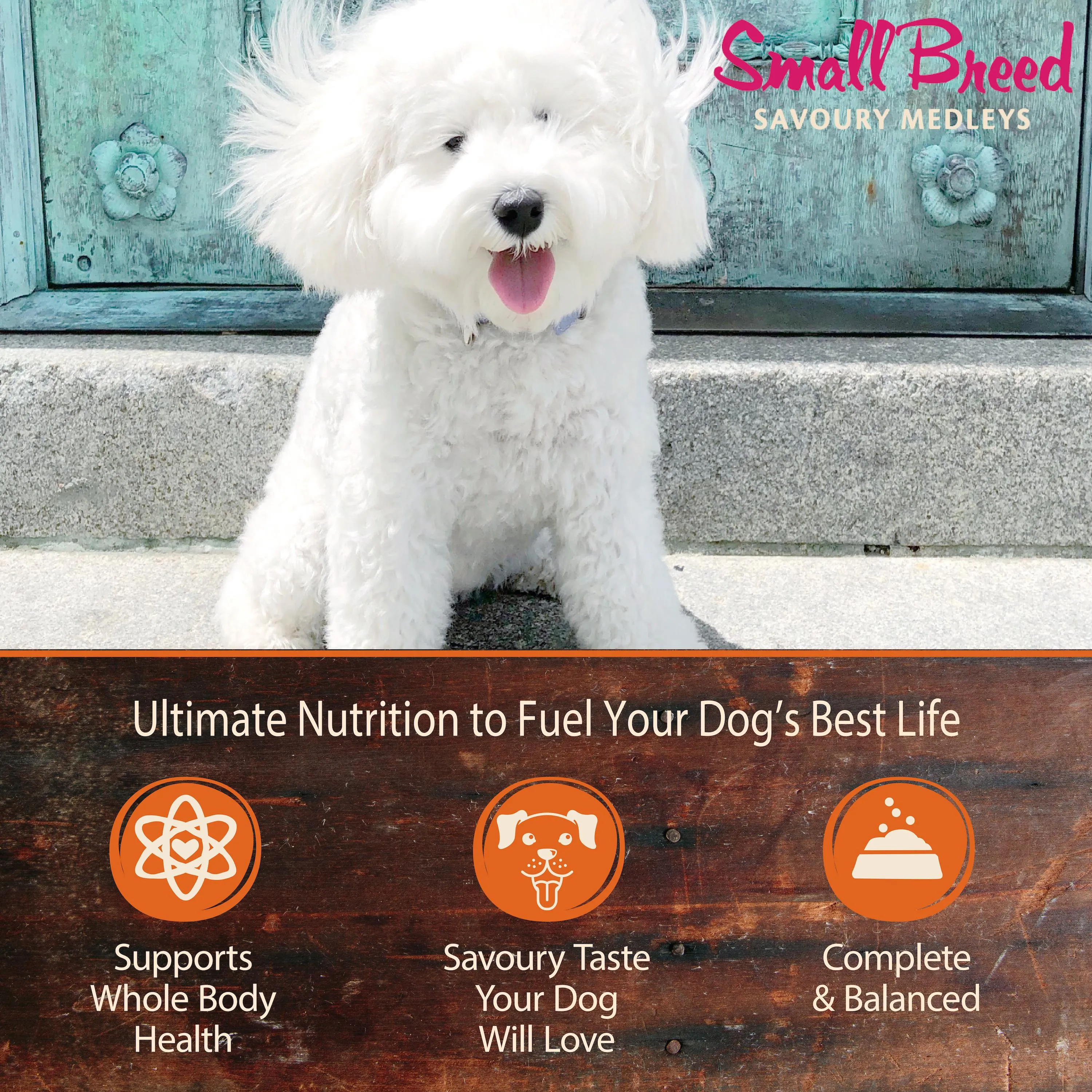 Wellness CORE Savoury Medleys Chicken, Beef, Green Beans and Red Peppers Wet Small Dog Food 85g x 12