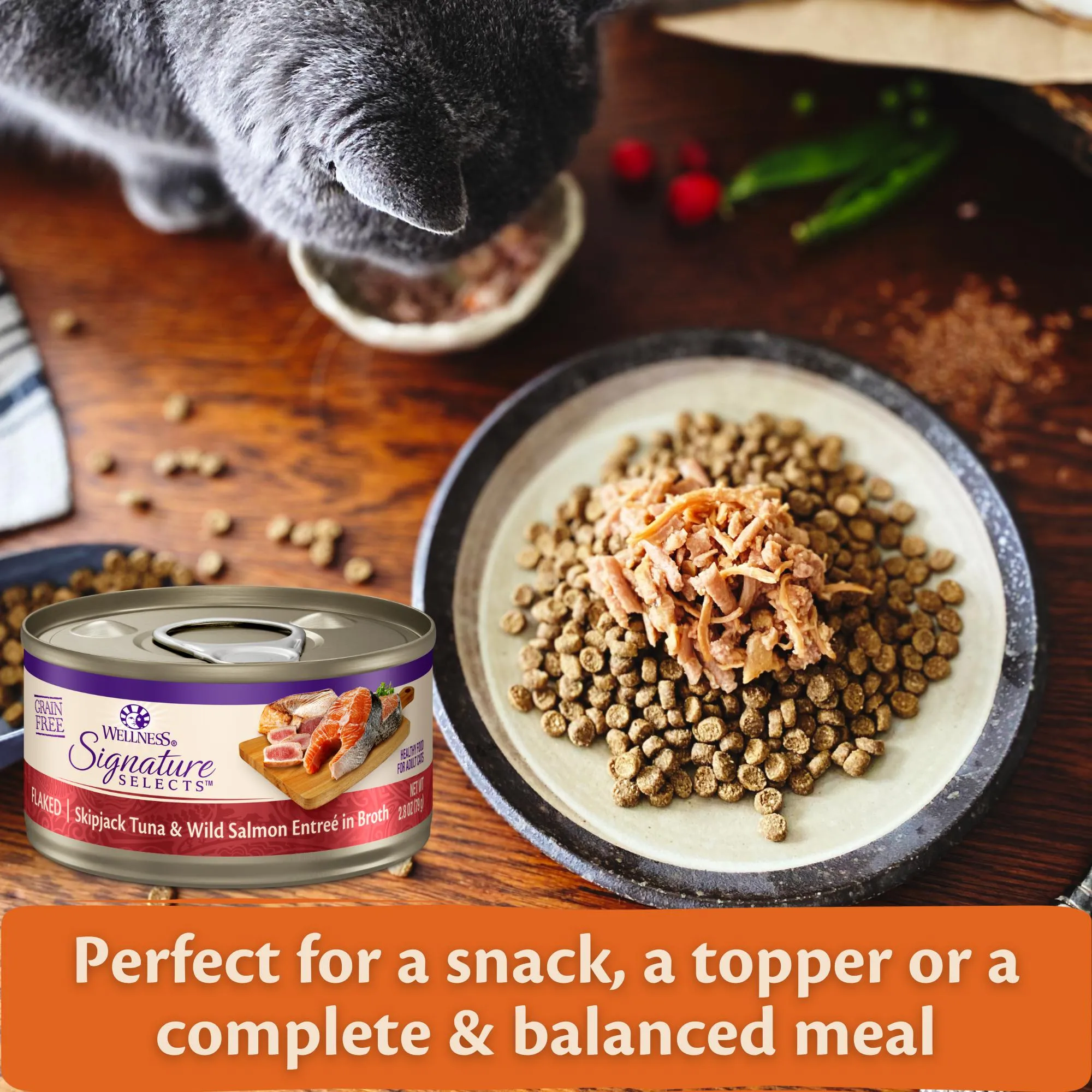 Wellness CORE Signature Selects Flaked Skipjack Tuna with Wild Salmon Entre Wet Cat Food 79g x 12
