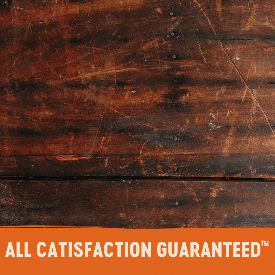 Wellness CORE Signature Selects Pat Chicken and Beef Entre Wet Cat Food 79g x 12