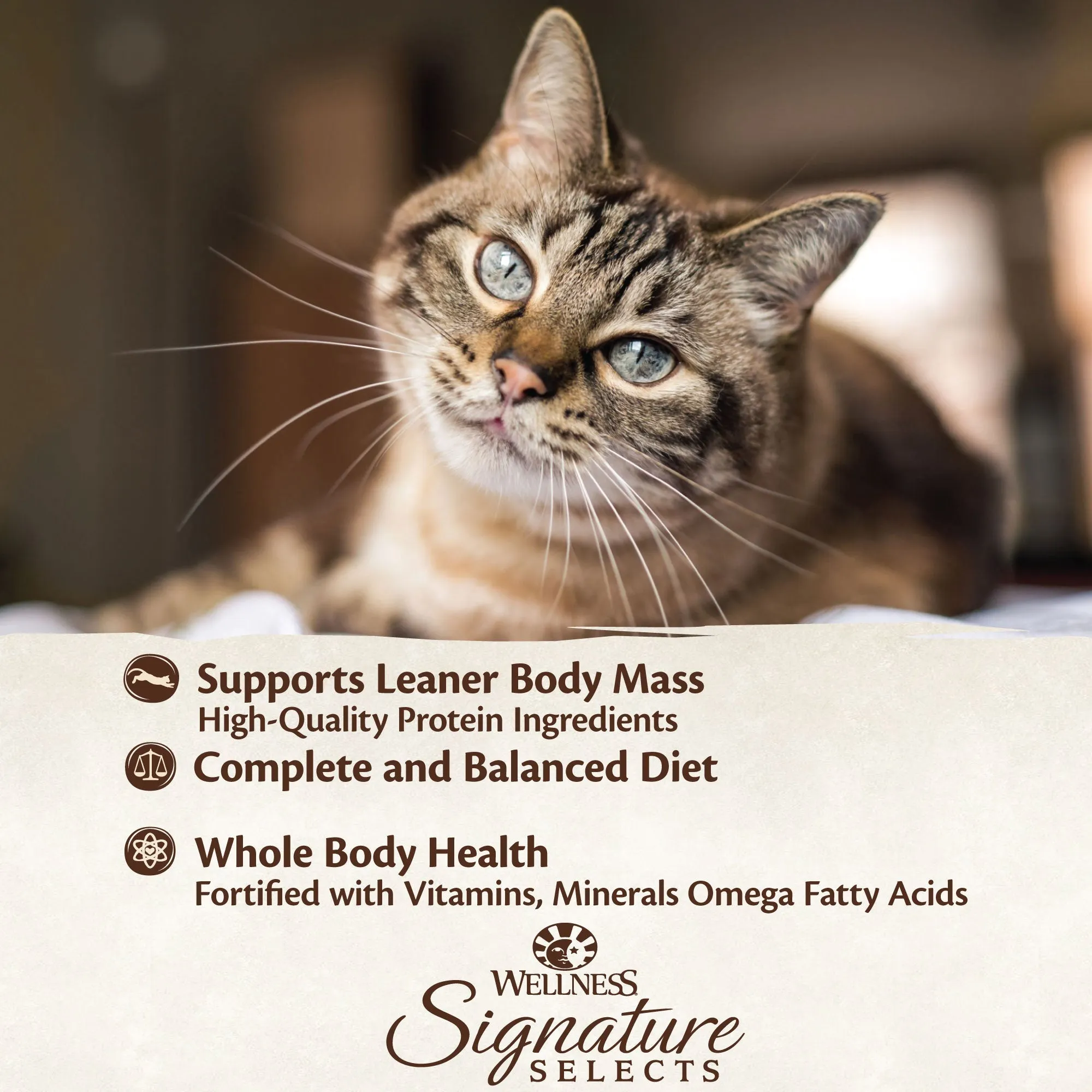 Wellness CORE Signature Selects Pat Chicken and Beef Entre Wet Cat Food 79g