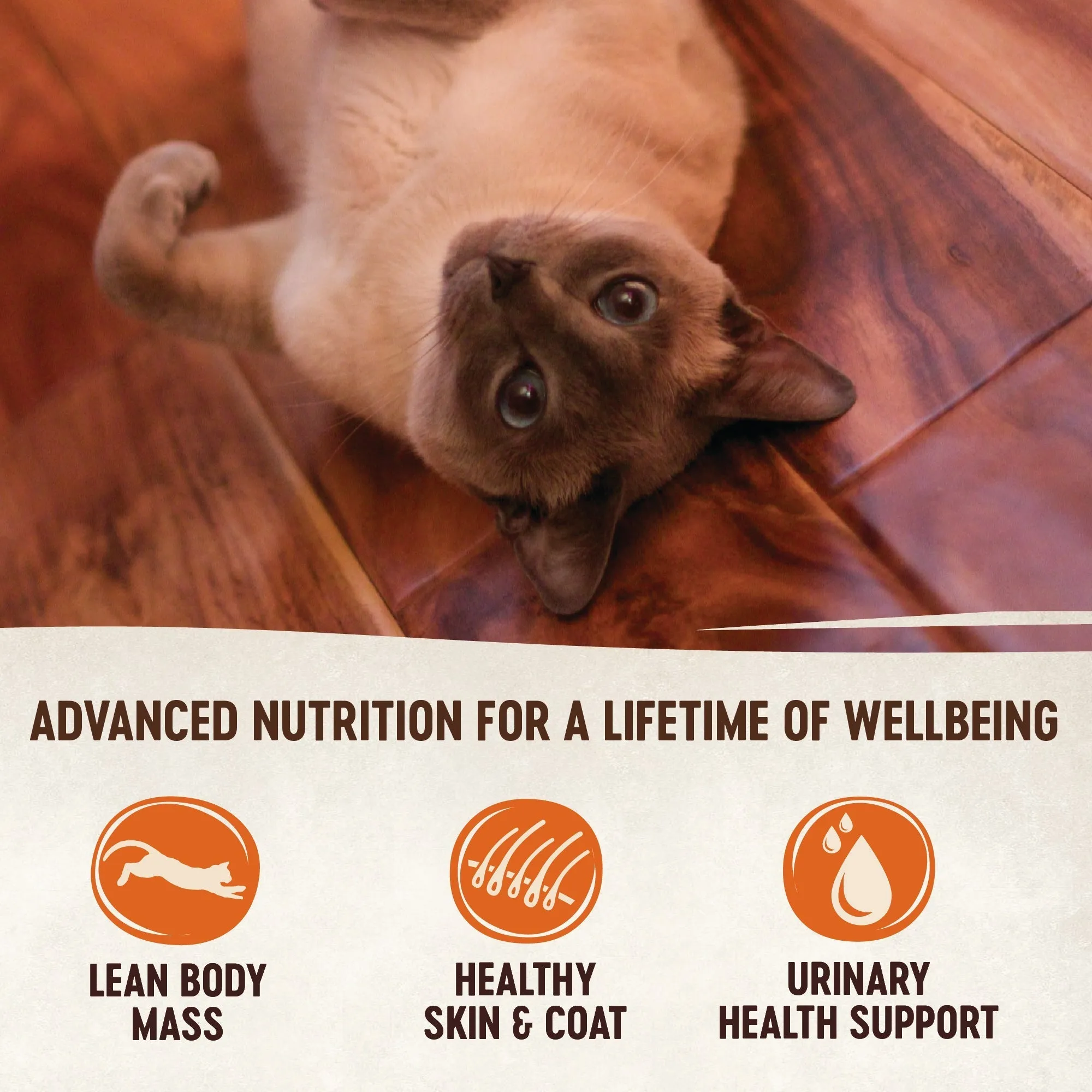 Wellness CORE Signature Selects Pat Chicken and Beef Entre Wet Cat Food 79g