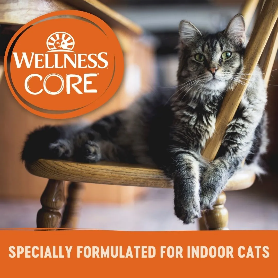Wellness CORE Signature Selects Pat Chicken Entre Indoor Wet Cat Food 79g