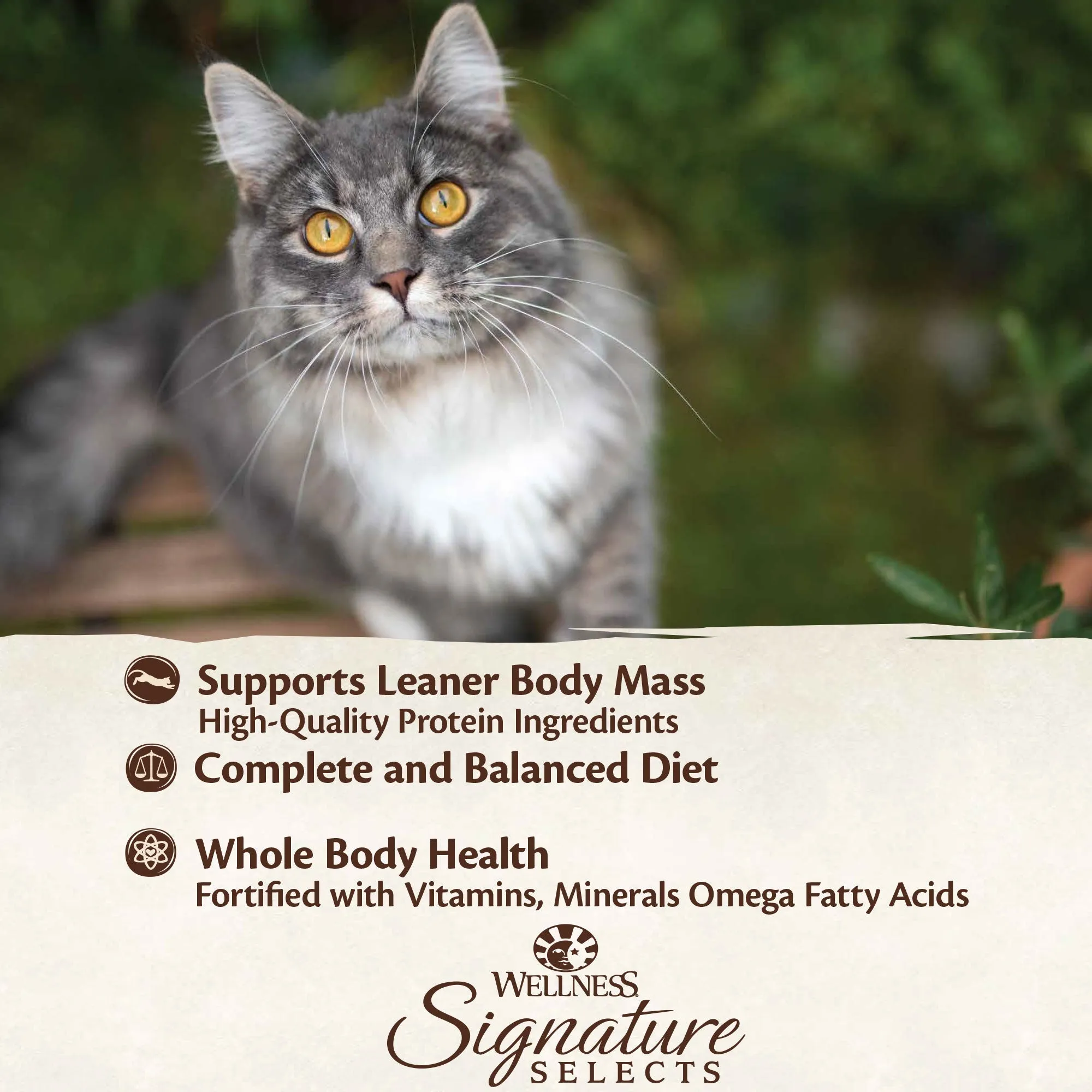 Wellness CORE Signature Selects Shredded Chicken and Chicken Liver Entre Wet Cat Food 79g