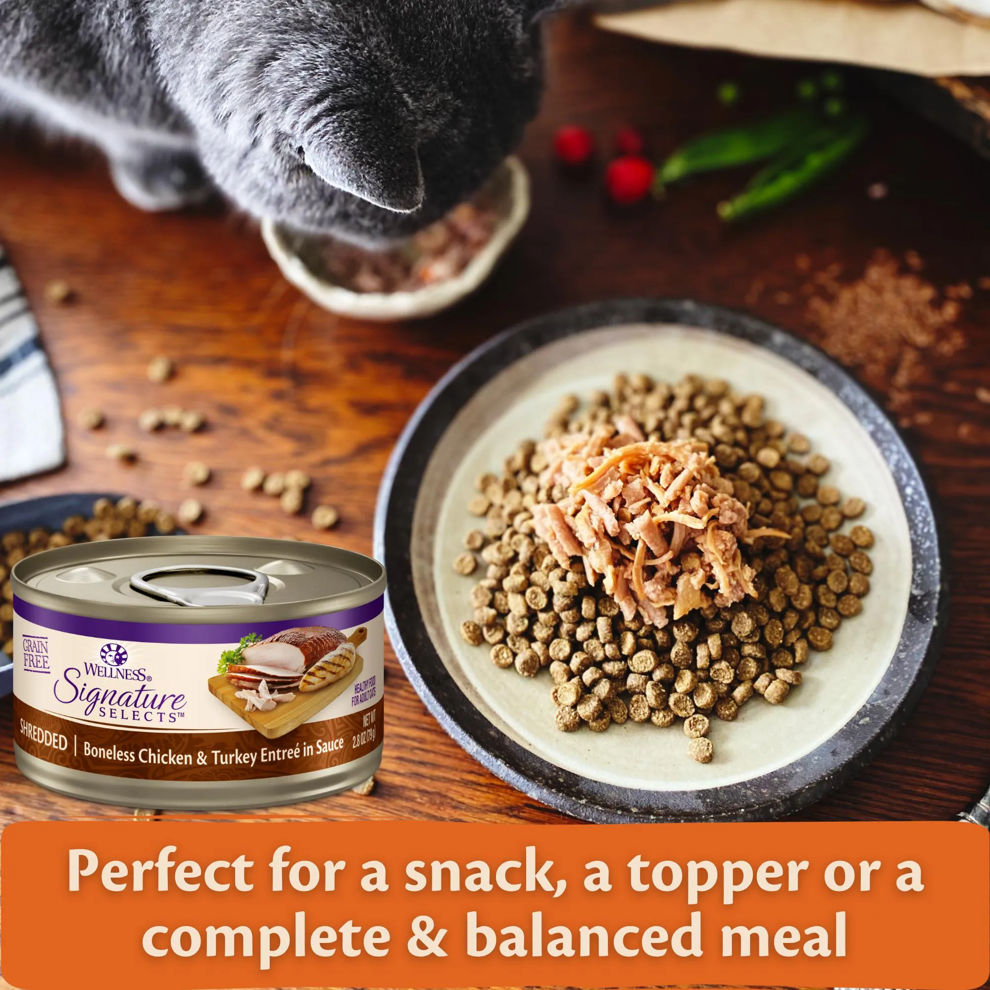 Wellness CORE Signature Selects Shredded Chicken and Turkey Entre Wet Cat Food 79g