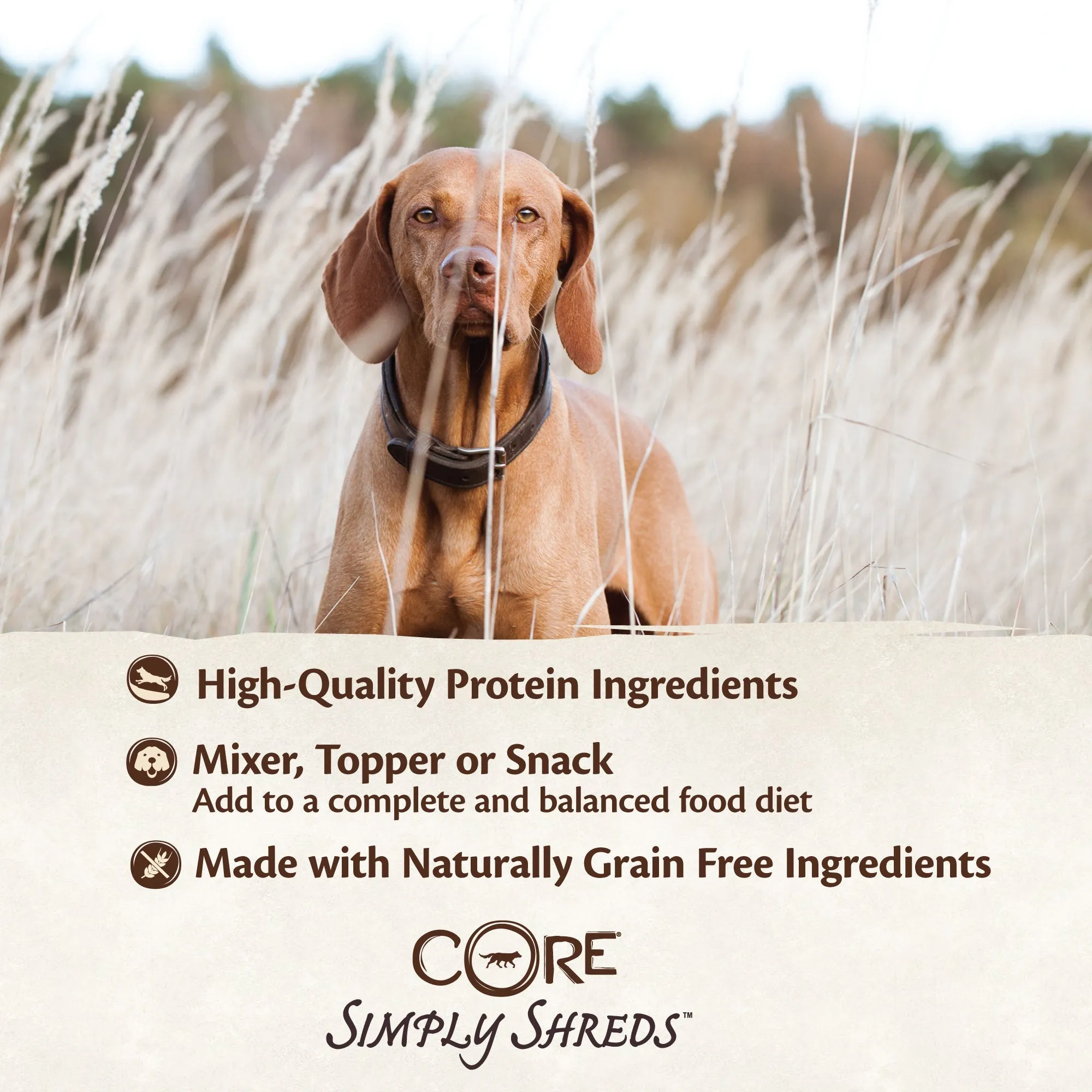 Wellness CORE Simply Shreds Shredded Chicken, Chicken Liver and Broccoli Wet Dog Food 79g x 12