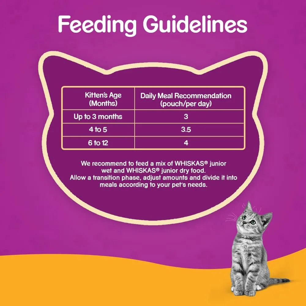 Whiskas Chicken in Gravy Meal Kitten Wet Food and Ocean Fish Kitten Dry Food Combo