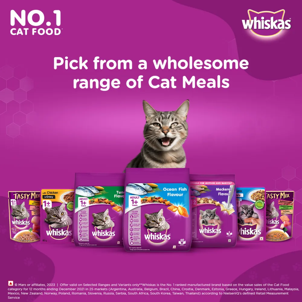 Whiskas Ocean Fish and Tuna Flavour Adult Cat Dry Food Combo