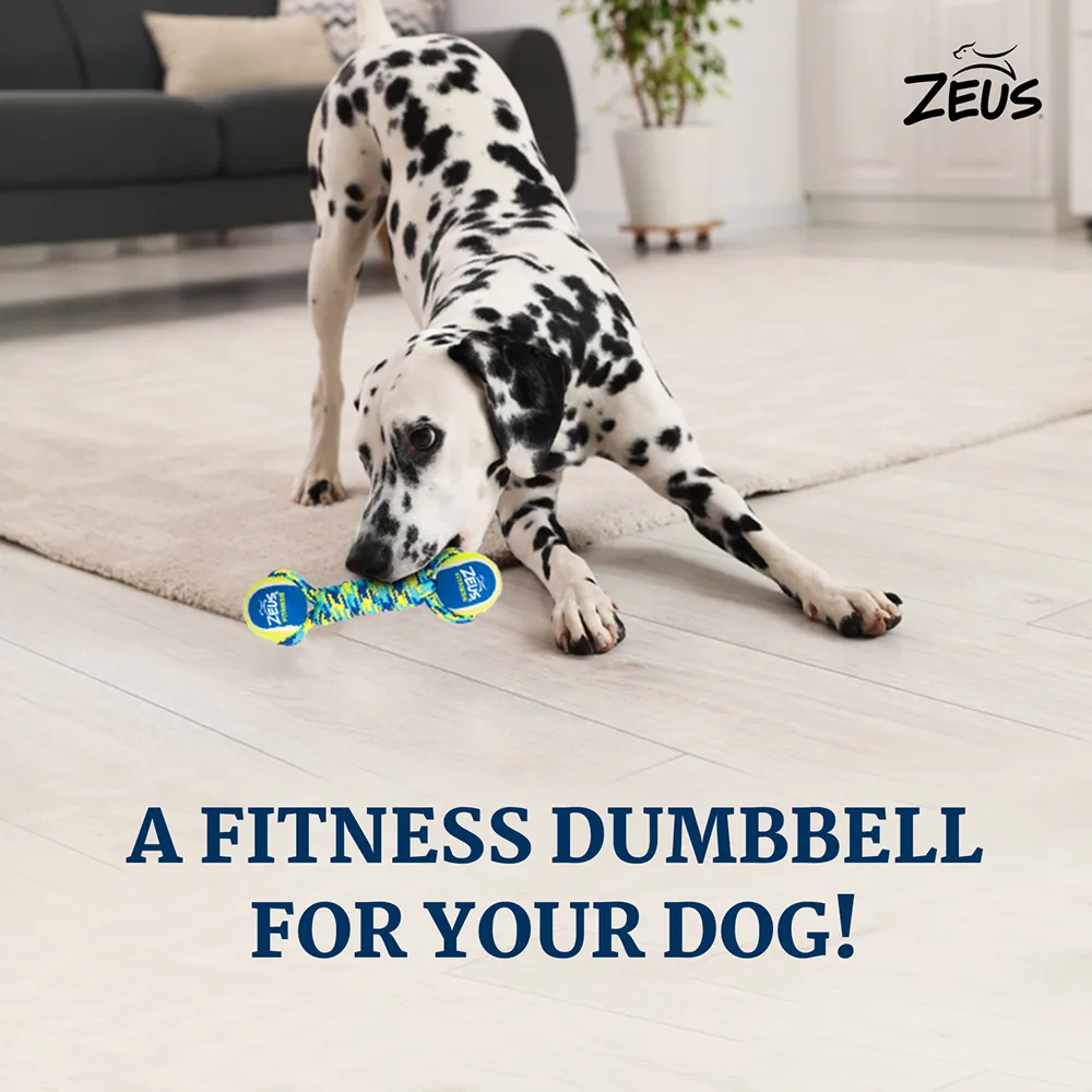 Zeus Double Tennis Ball Rope Dumbbell Toy for Dogs (Blue)
