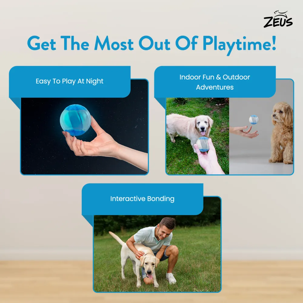 Zeus Squeaker & Glow DUO Ball for Dogs (Blue)