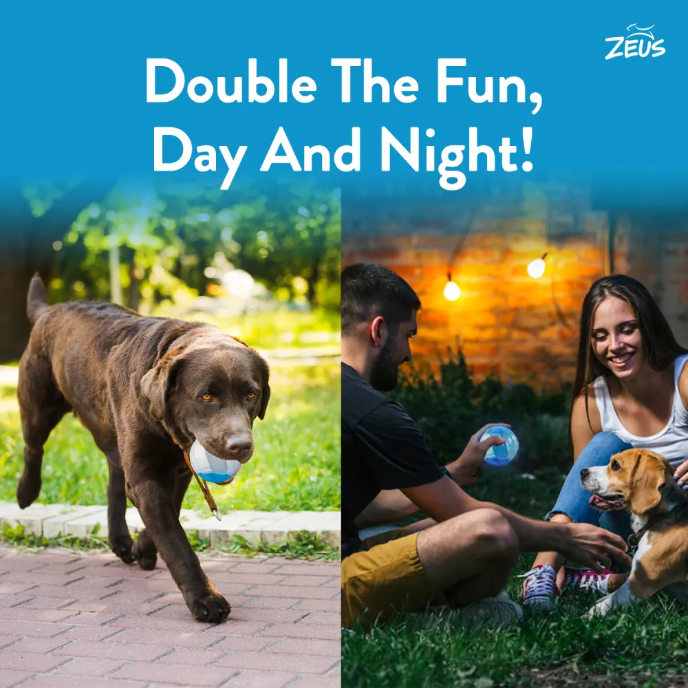 Zeus Squeaker & Glow DUO Ball for Dogs (Blue)