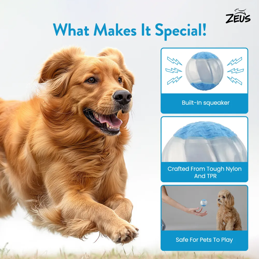 Zeus Squeaker & Glow DUO Ball for Dogs (Blue)