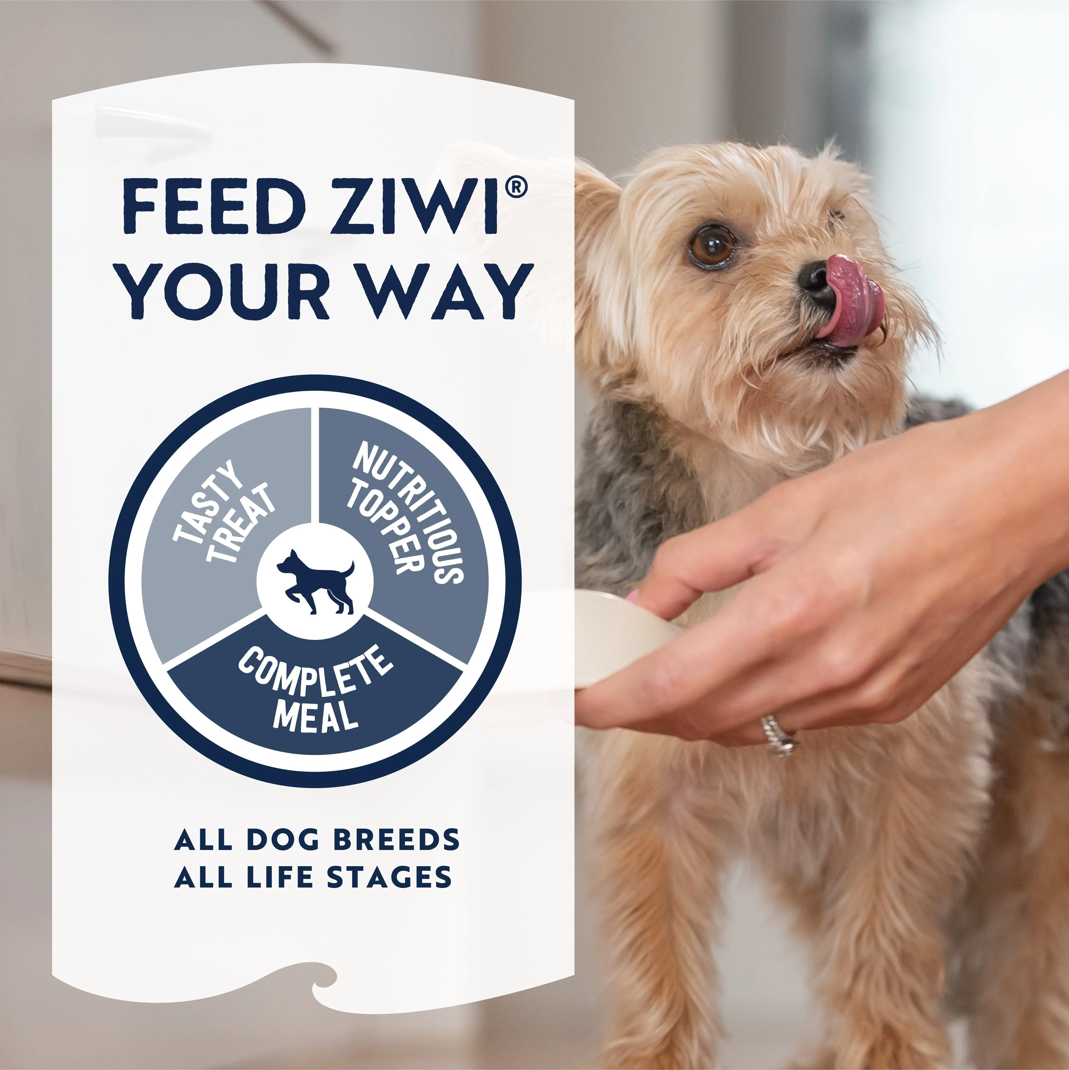 ZIWI Peak Air Dried Beef Recipe Dog Food 1kg
