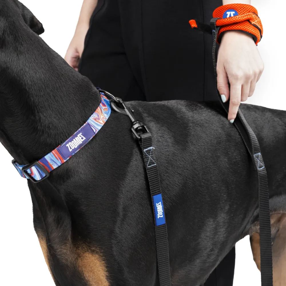 Zoomiez Hands Free Mesh Leash for Dogs & Cats (Orange)