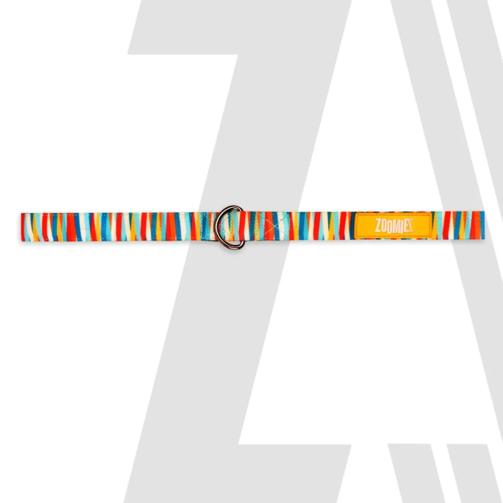 Zoomiez Tango Printed Leash for Dogs