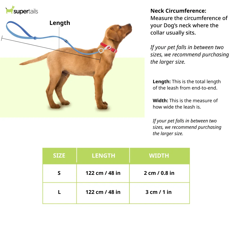 Zoomiez Tango Printed Leash for Dogs