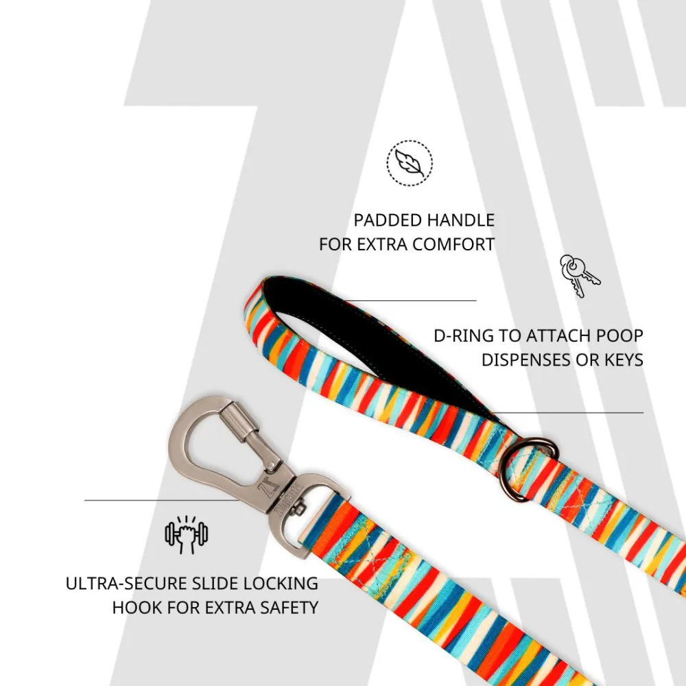 Zoomiez Tango Printed Leash for Dogs